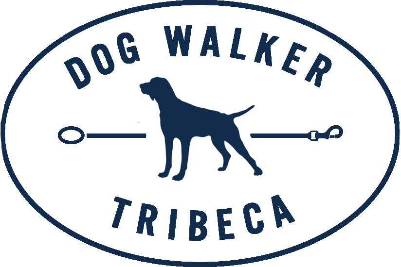 Dog Walker Tribeca
